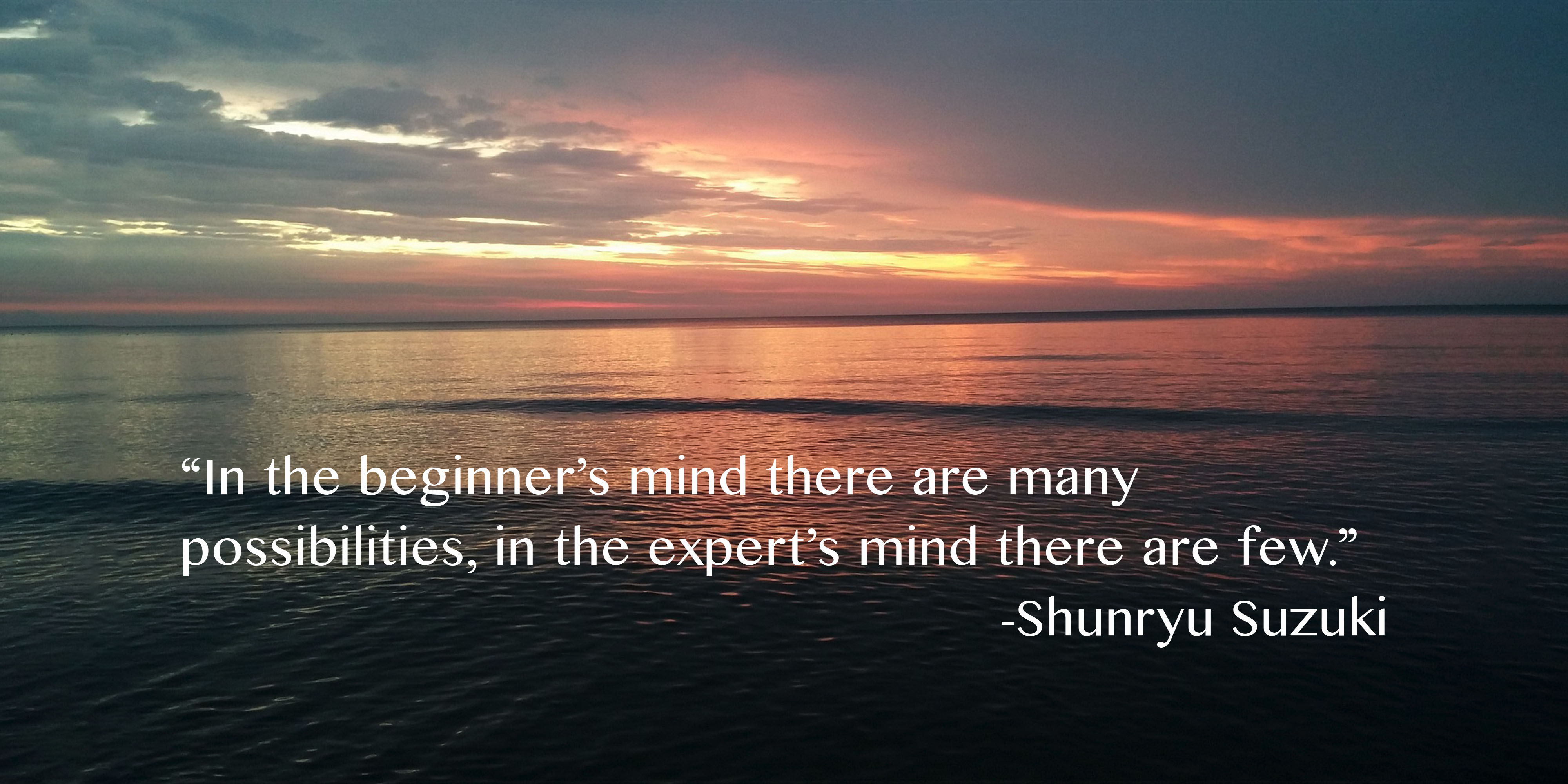 “In the beginner’s mind there are many possibilities, in the expert’s mind there are few.”